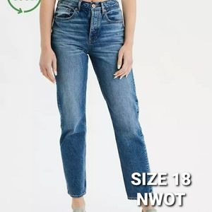 90s boyfriend American Eagle mom jeans NWOT